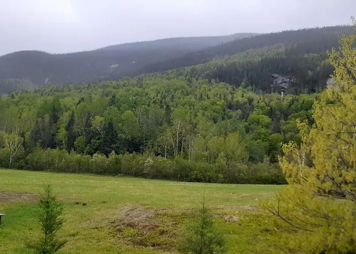 Grangette Entre Chiens et Loups
